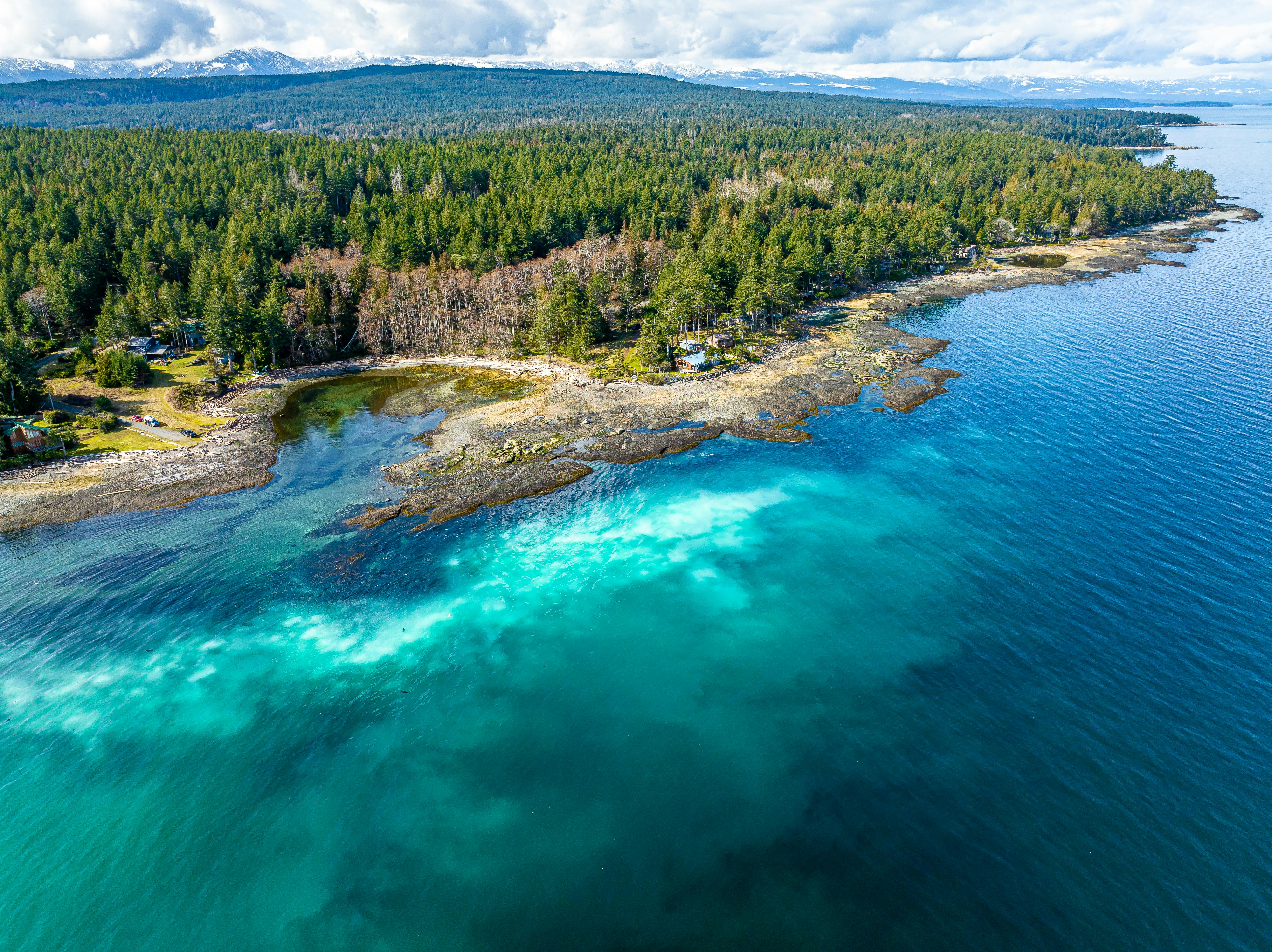 Lily Point Park