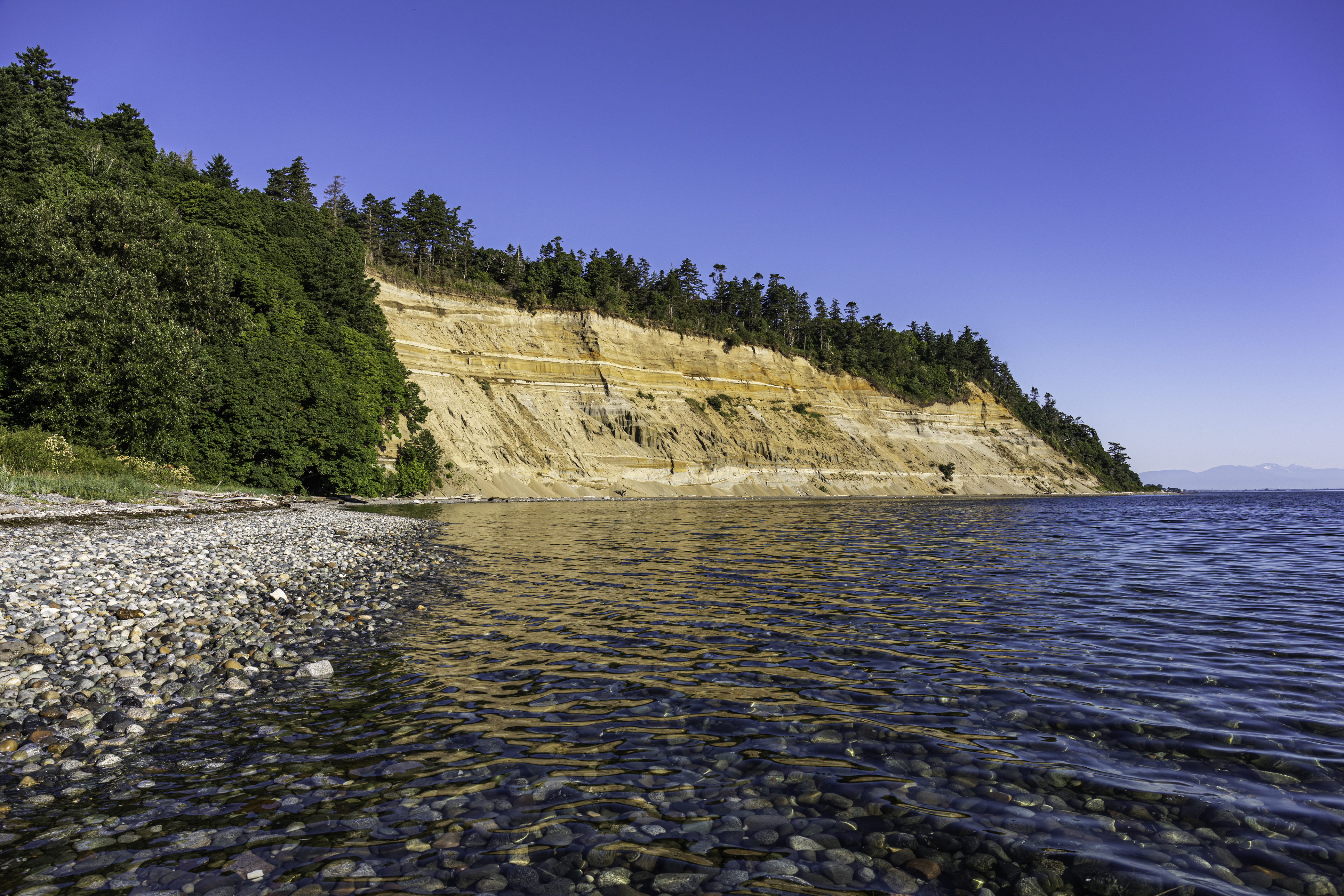 Lily Point Park